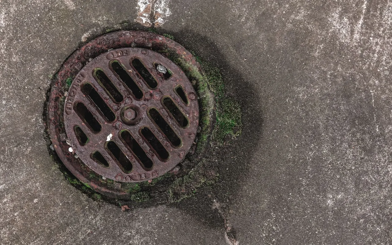 Completed sewer line replacement project at a suburban home in the United States