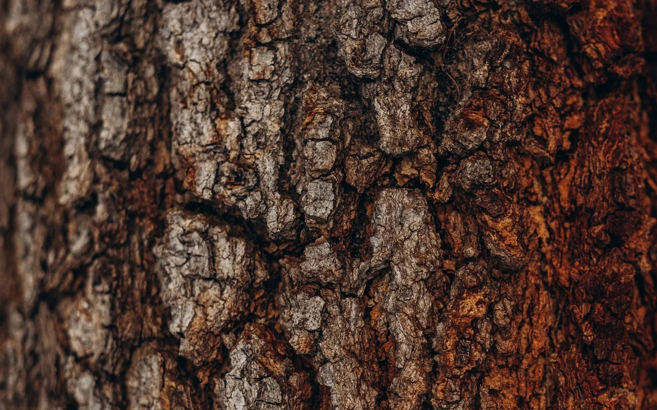 Close up of tree removal materials on a residential job site